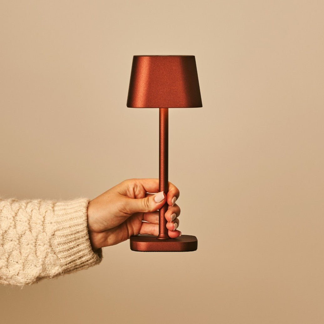 Ava Bronze cordless lamp placed stylishly on wooden bookshelf