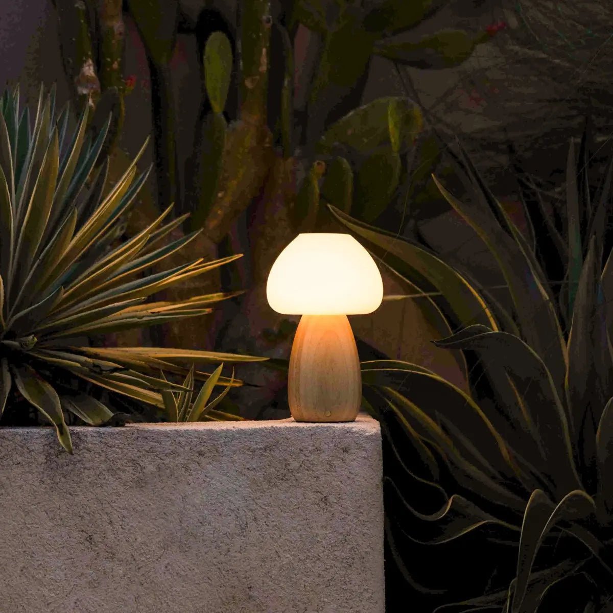 Modern Bear Lamp blending with minimalist wooden home decor