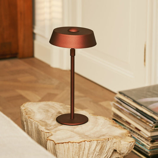 Luca Bronze – USB Rechargeable Lamp – Portable bronze lamp on wood table