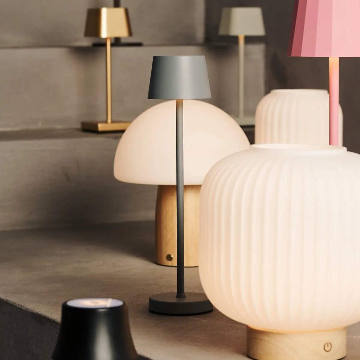 Zano Black LED lamp displayed with modern home lighting collection