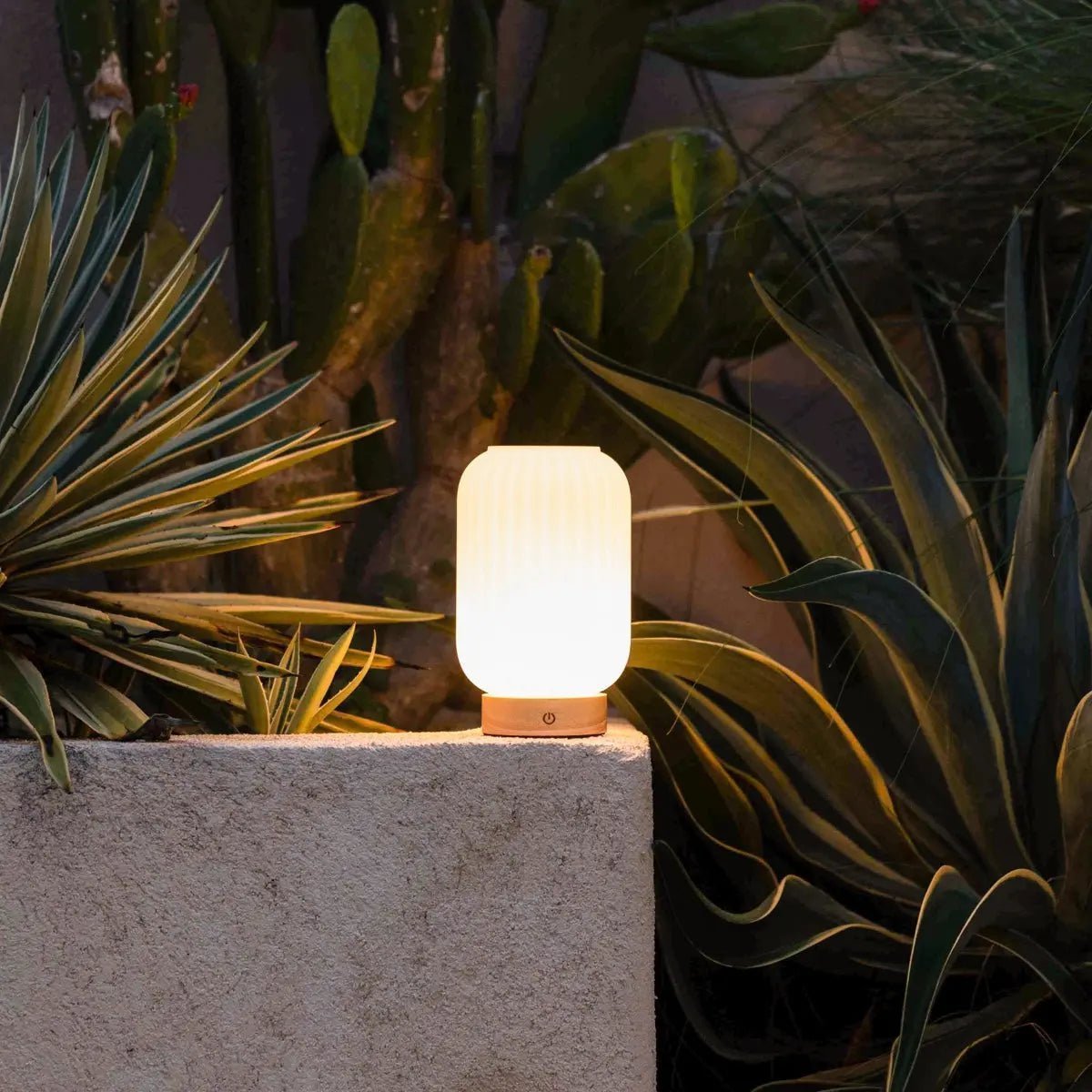 Lilly Rechargeable Lamp – Dimmable Frosted Glass Design - CozyVibe.eu