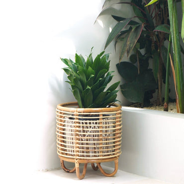 Malang rattan basket for indoor plants boho home decor