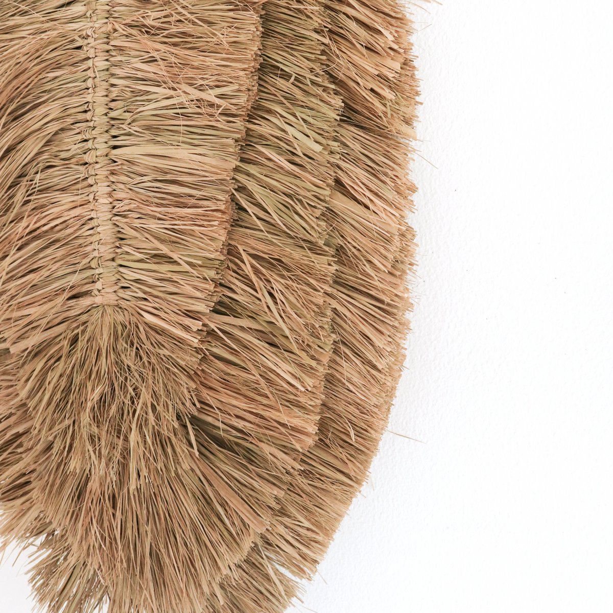 TIPIN Wall Decor handwoven raffia basket wall art leaf design