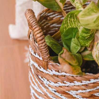Yalimo water hyacinth basket stylish plant pot cover for living room